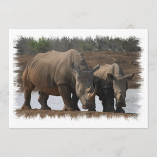 Invitation noire de rhinocéros