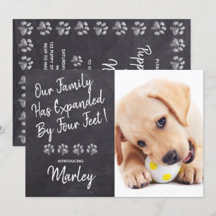 Invitation Notre Famille Quatre Pieds Nouveau Chien Chien Chi