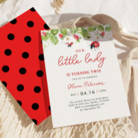 Notre Petite fille Ladybug 2e fête d'anniversaire