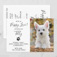 Nouveau Pet Chien Chien Chien chiot Douche Party