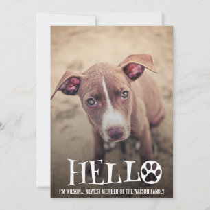 INVITATION NOUVELLE ANNONCE D'ADOPTION D'ANIMAL PHOTO INVITAT