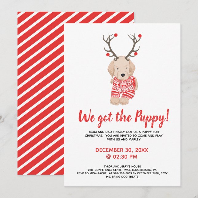 Invitation Nouvelle fête pour enfants de Noël avec un nouveau (Devant / Derrière)