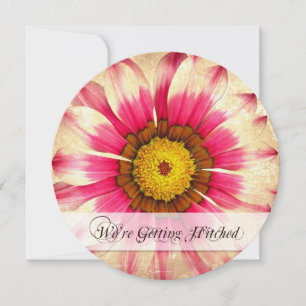 Invitation Obtenir Hitched Pink Daisy Round Wedding Invite