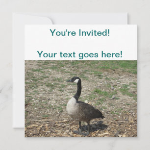 Invitation Oie canadienne