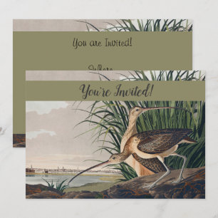 Invitation Oiseau de Courlis à long bec Audubon