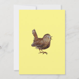 Invitation Oiseau Wren (Troglodytes Troglodytes)