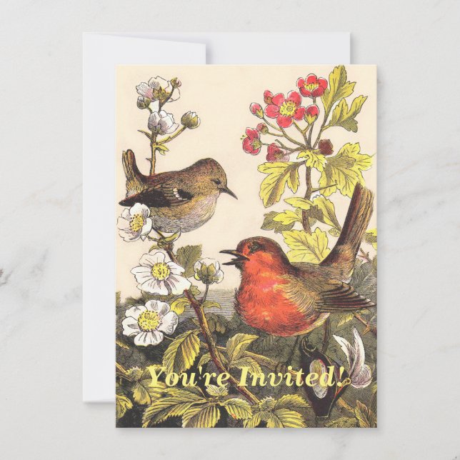 Invitation Oiseaux de printemps Robin Oiseaux rouges (Devant)