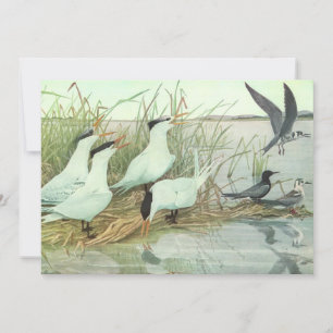 Invitation Oiseaux de rivage vintage dans un marais par Louis