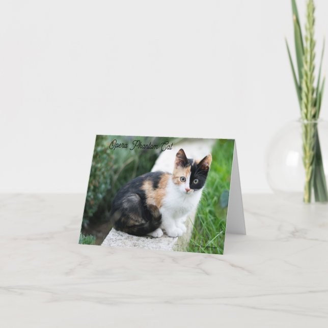 Invitation Opera Phantom Chat (Devant)