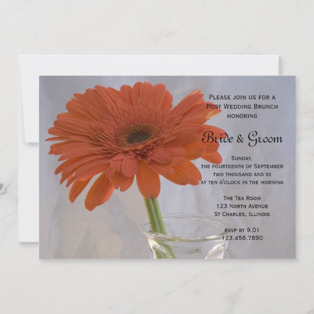Invitation Orange Daisy dans Vase Post Mariage Brunch (Devant)