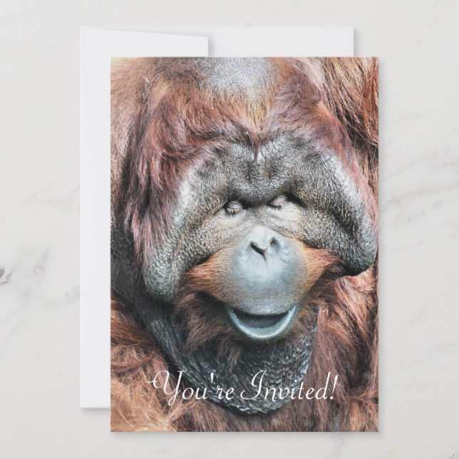 INVITATION ORANGUTANS (Devant)