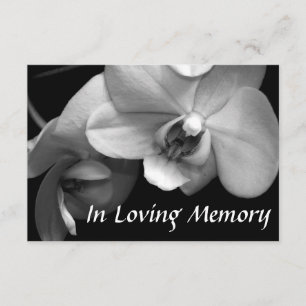 Invitation Orchid 2 Floral Photography Festival of Life