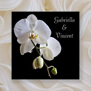 Invitation Orchidées blanches sur Mariage noir