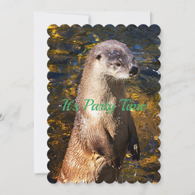 Invitation Otter (Devant)