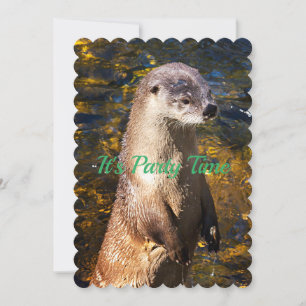 Invitation Otter