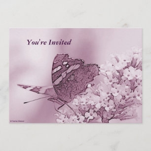 Invitation © P Wherrell Papillon contemporain sur buddleia