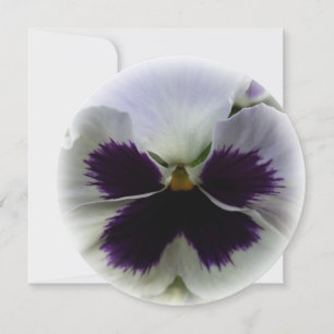 Invitation Pansement pourpre et blanc
