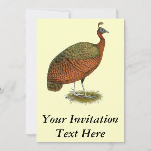 Invitation Paon : Congo Peahen