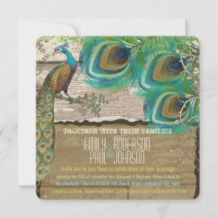 Invitation Paon de campagne délabré vintage 3 plumes vieux bo