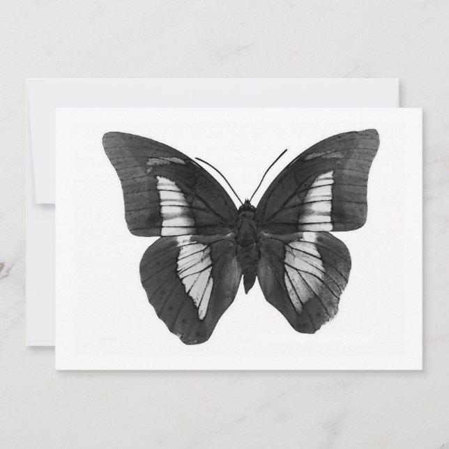 Invitation papillon (Devant)