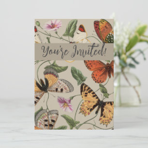 Invitation Papillon Moth Nature Collection Dessin