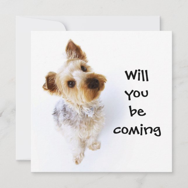 Invitation Parti du Yorkie Puppy Yorkshire Terrier (Devant)