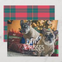 Pâtes et baisers Silly Pet Photo Holiday Card