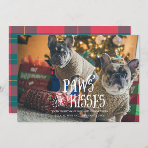 Invitation Pâtes et baisers Silly Pet Photo Holiday Card