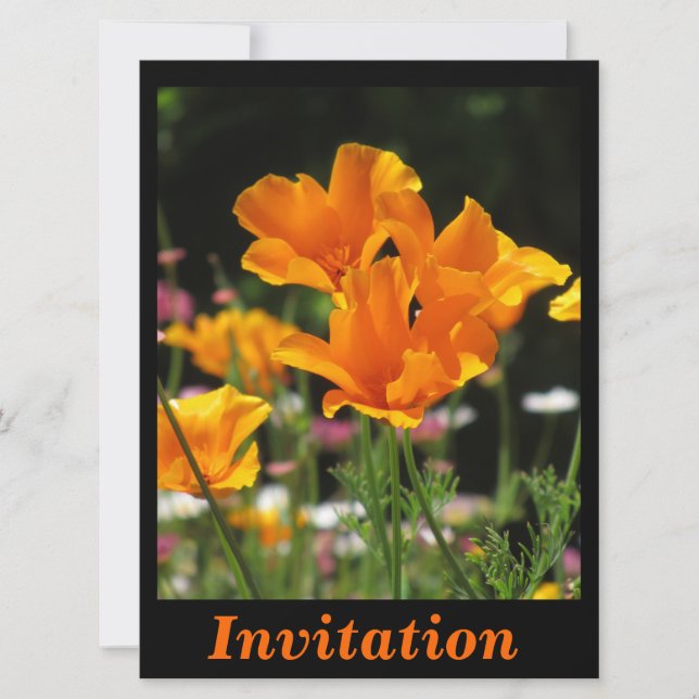 Invitation Pavots de Californie oranges (Devant)