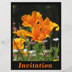 Invitation Pavots de Californie oranges