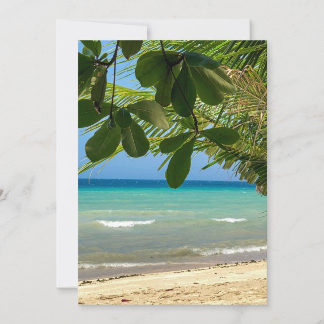 Invitation Paysage de plage. Philippines. Moalboal. Plage bla (Devant)