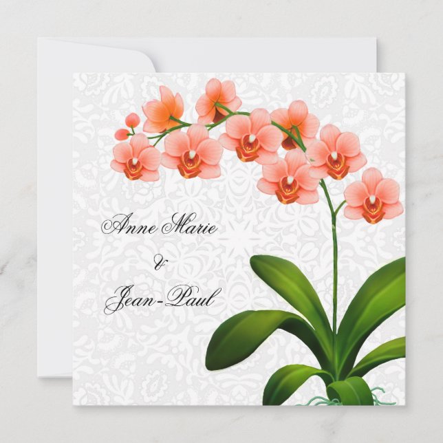 Invitation Peach Phalaenopsis Orchidées and Lace Wedding Invi (Devant)