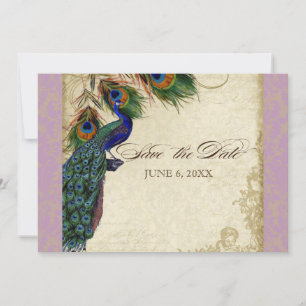 Invitation Peacock & Feathers Formal Enregistrer la date Aqua