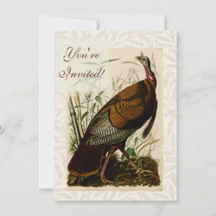 Invitation Peinture d'oiseaux sauvages de Turquie Audubon