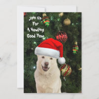 Père Noël Paws - Crystal the Husky Dog Christmas
