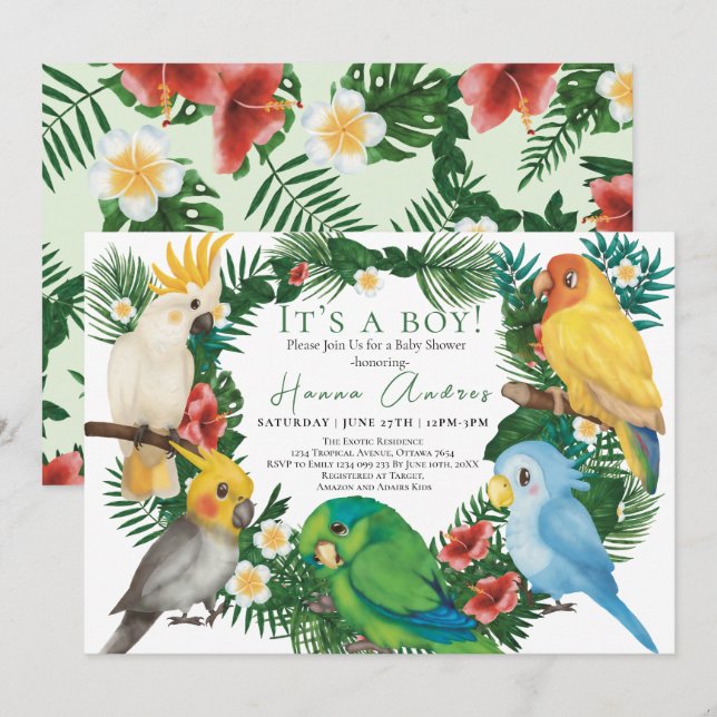 Invitation Perroquets tropicaux oiseaux exotiques Fête de béb (Devant / Derrière)