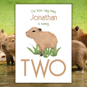 Invitation Personnalisé mignon 2e anniversaire Capybara bébé 