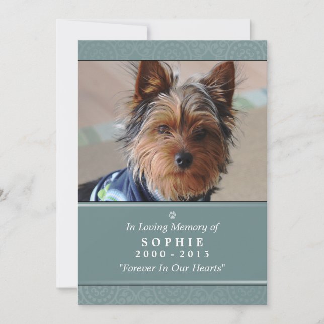 Invitation Pet Memorial Card 5x7 Prière Turquoise pour animau (Devant)