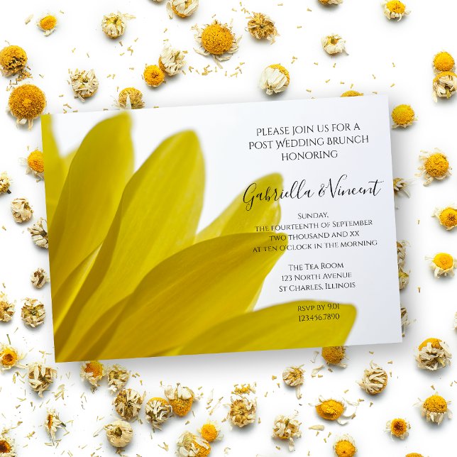 Invitation Pétales de fleurs de marguerite jaune pour brunch  (Créateur téléchargé)