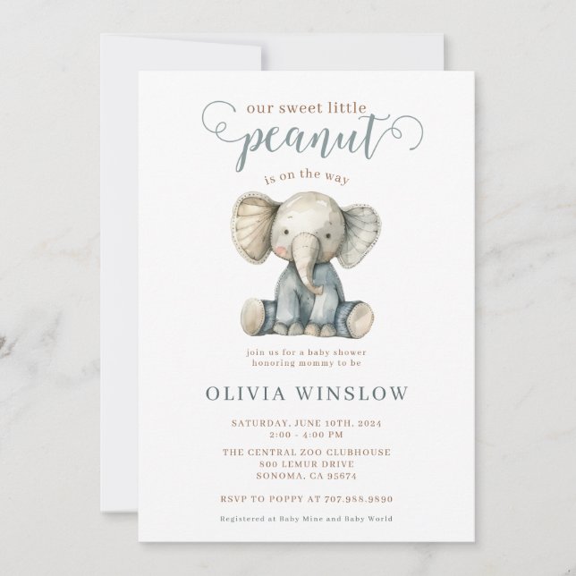 Invitation Petit Baby shower éléphant Bébé bleu arachide (Devant)
