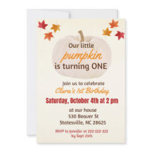 petit citrouille UN an