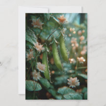 Petit Pois dans la Cosse | Jeunes Pousses Sucrées