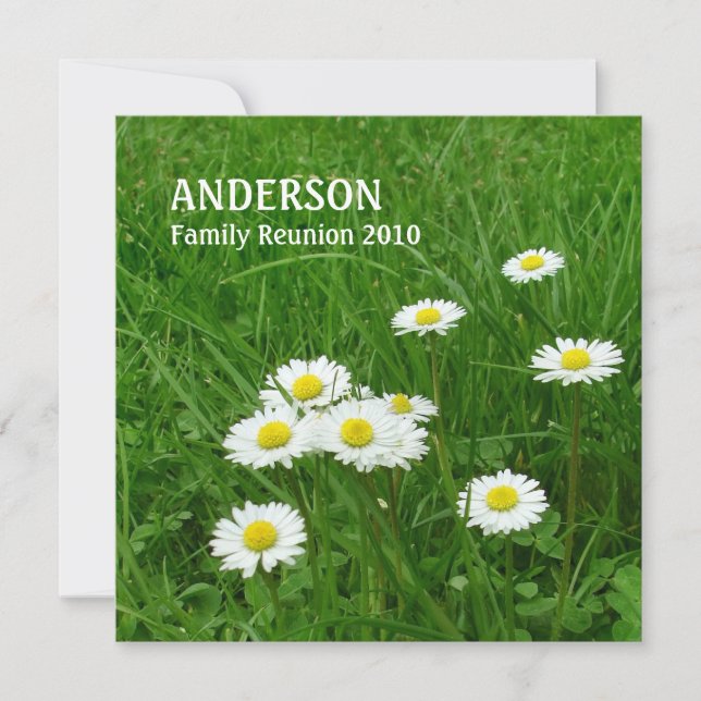 Invitation Petites Daisies Famille Réunion (Devant)