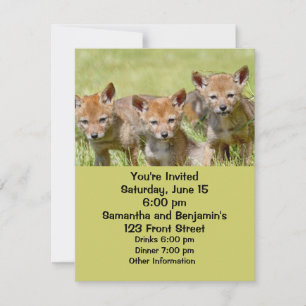 Invitation Photo Baby Coyotes