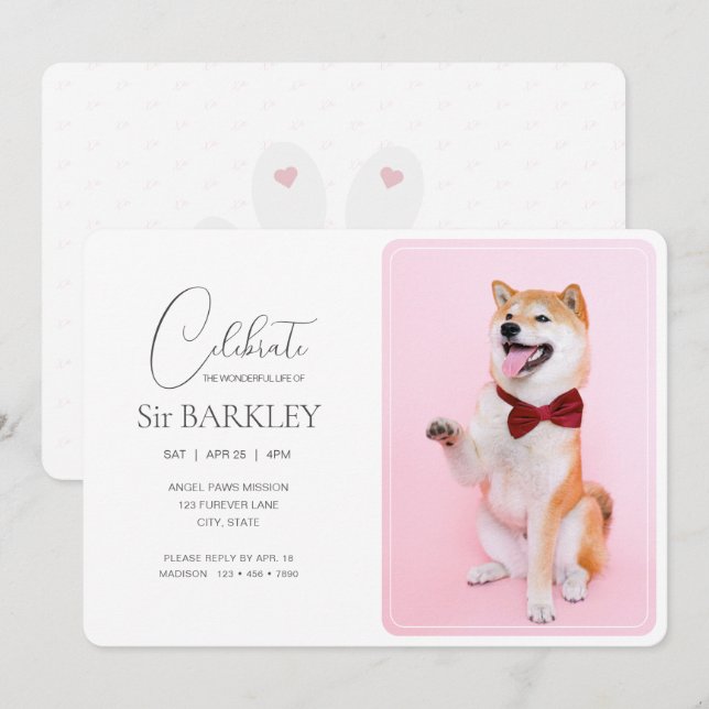 Invitation photo commémorative pour animaux de com (Devant / Derrière)