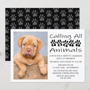 Invitation Photo d'anniversaire de chien