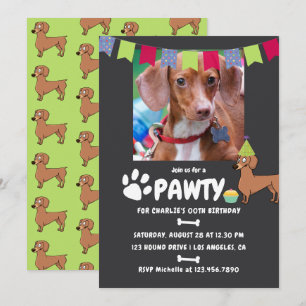 Invitation photo d'anniversaire de chien teckel