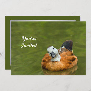 Invitation Photo de canard coloré mignon Anniversaire