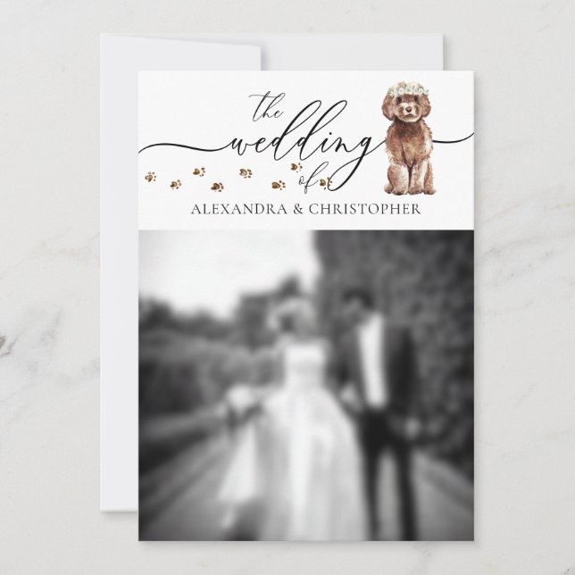 Invitation Photo de mariage de chiot Cavapoo marron (Devant)