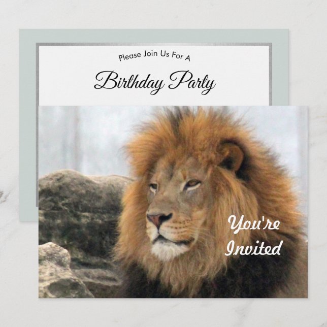 Invitation Photo du lion de la faune Anniversaire (Devant / Derrière)